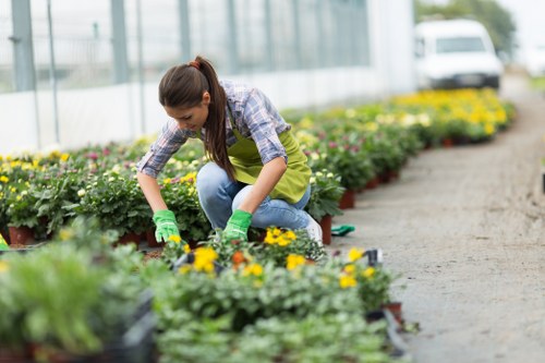 A woman wearing a yellow apron, blue jeans, and green gardening gloves is kneeling on a gravel pathway in a greenhouse, tending to a bed of vibrant flowering plants. The plants include a mix of yellow, purple, and pink flowers with lush green foliage, arranged along the edge of the pathway. In the background, there is a greenhouse structure with transparent glass panels, allowing natural light to illuminate the scene. The outdoor environment appears bright and sunny, suggesting a pleasant day for gardening activities. The setting demonstrates a well-maintained nursery or garden centre, consistent with professional gardening and landscaping services in Hammersmith. Lawn Mowing Hammersmith provides expert outdoor maintenance, including plant care and garden planting, reflected in this carefully cultivated and organized horticultural environment.