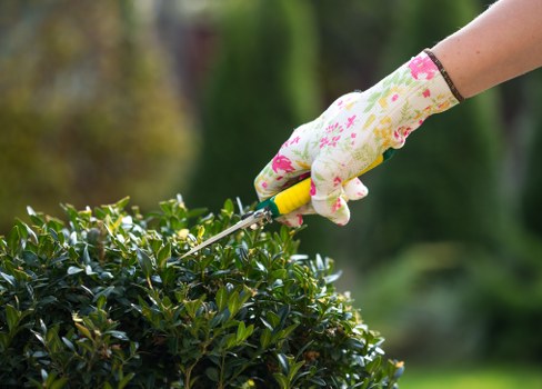 Professionals mowing a well-maintained lawn in Hammersmith