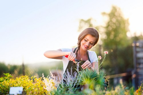 Garden professional clearing debris in Hammersmith garden