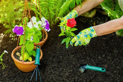 The image depicts a person planting new flowers in a backyard garden with dark, freshly turned soil. They are wearing brightly coloured gardening gloves with a floral pattern, while carefully placing a red flowering plant into the soil. To the left, there are two hanging terracotta pots filled with vibrant purple and white petunias, suspended from a wooden structure or trellis. A small garden hand rake and pruning shears are placed on the soil nearby, indicating garden maintenance activities. The background includes lush green ferns and other foliage, contributing to a dense, well-maintained outdoor space typical of residential gardens in Hammersmith. The scene suggests a peaceful, sunny day suitable for gardening, with the focus on planting and outdoor care, reflecting professional gardening and landscaping services offered by Lawn Mowing Hammersmith in the local area. The natural elements and tools highlight attention to detail in garden upkeep and enhancement, fitting within a landscaped front or backyard setting in West London.