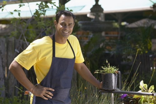 Professional lawn mowing service in Hammersmith