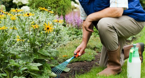 Eco-friendly sustainable garden practices in Hammersmith outdoor space