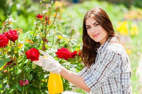 Professional pruning of garden shrubs