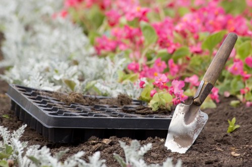 Overgrown garden being professionally cleared