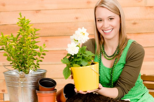 Eco-friendly lawn mowing practices in Hammersmith