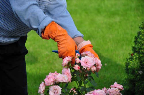 Professional gardener designing a garden layout in Hammersmith