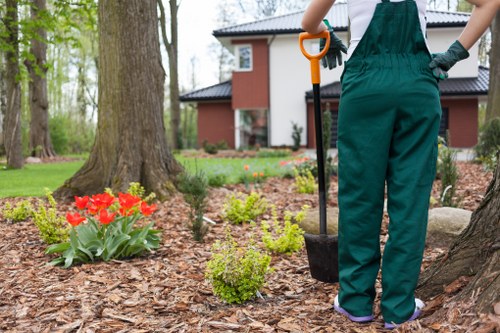 Advanced lawn mowing equipment for Hammersmith lawns