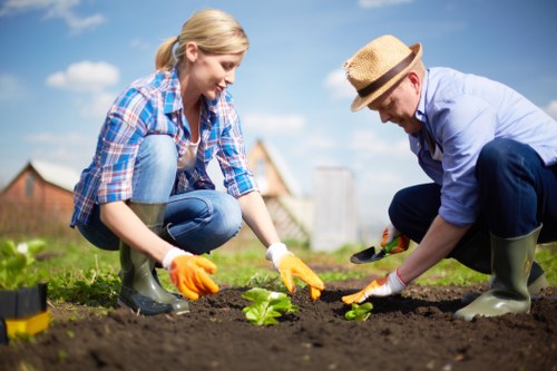 Professional lawn mowing service in Hammersmith