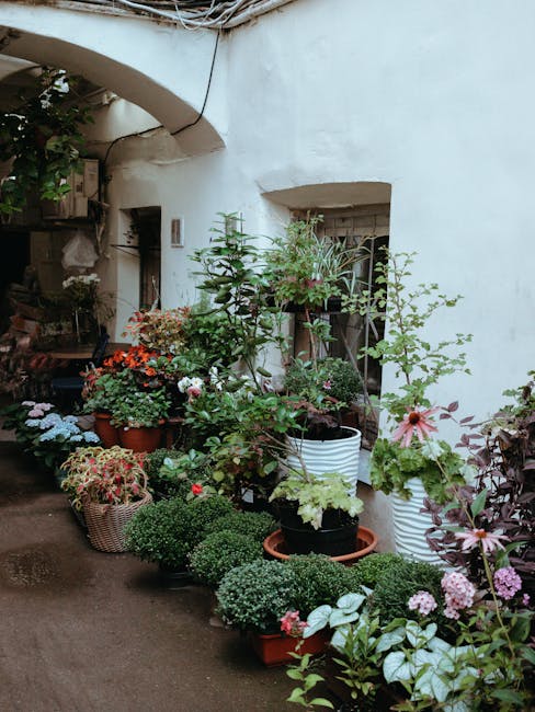 A quaint courtyard garden adjacent to a whitewashed building featuring a variety of potted plants and flowers. The scene includes lush green foliage, flowering plants in shades of pink, orange, and wh