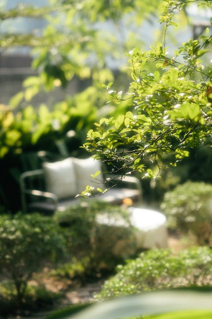 A quaint courtyard garden adjacent to a whitewashed building featuring a variety of potted plants and flowers. The scene includes lush green foliage, flowering plants in shades of pink, orange, and wh