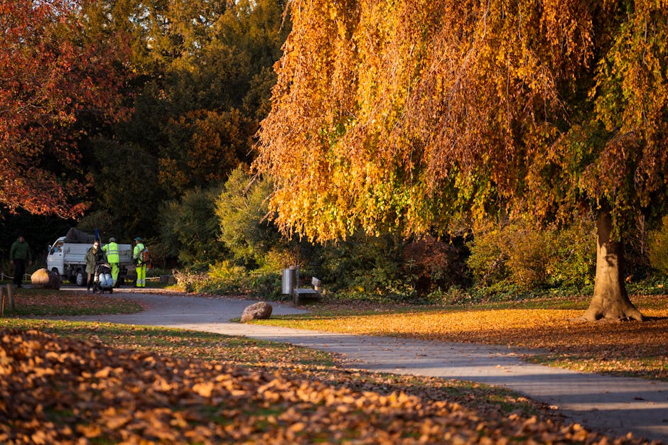 A paved stone pathway runs through a lush, well-maintained garden in Ravenscourt Park, Hammersmith, surrounded by vibrant green grass and tall trees with dense leafy canopies providing shade. In the b